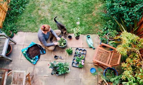 Planning Your Garden with Brisks: Products You’ll Actually Need