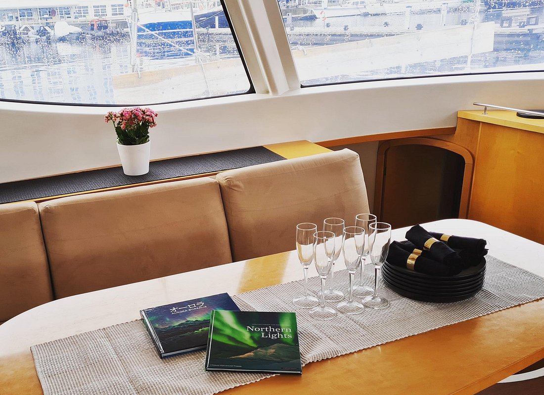 Best Travel Experiences You Can Book Online with Viator (2026 Guide)