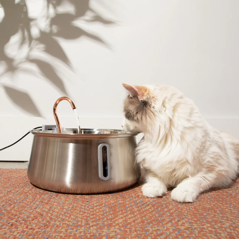 How Kitty Spout Makes Hydration Easier for Indoor Cats